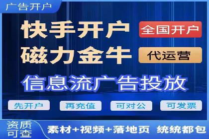 SEO百度推广策略：成功案例解析