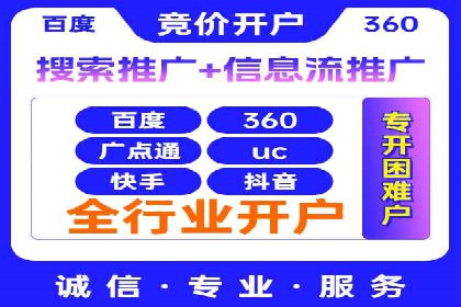 某某SEM团队成功案例：广告投放策略揭秘